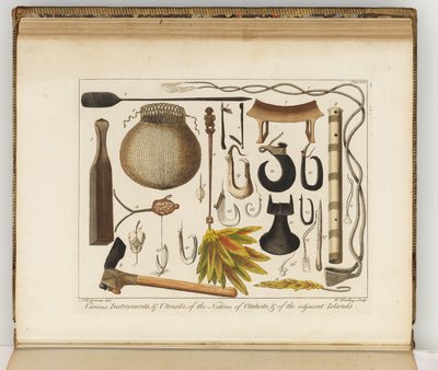 Illustratie uit Een reisverslag naar de Zuidzeeën: in Zijne Majesteits schip, de Endeavour, 1794 door Sydney